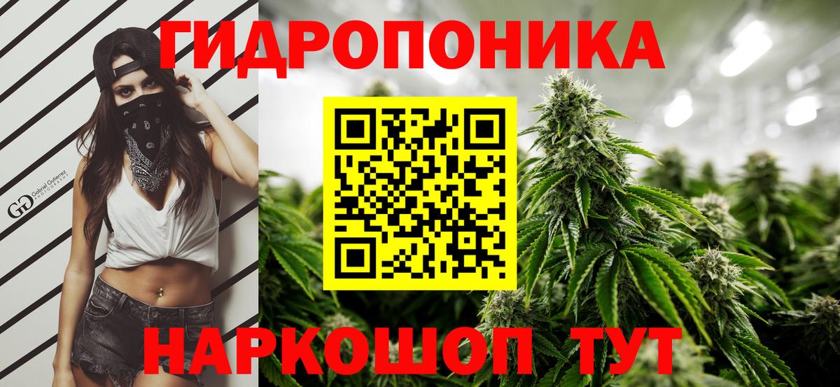 Марихуана VHQ Анжеро-Судженск